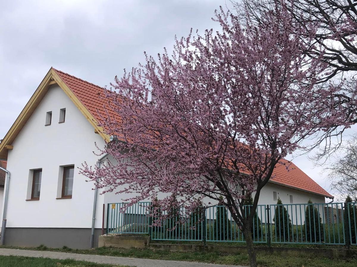 Fazekas Vendégház Balatonkeresztúr Exterior foto